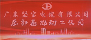 广东免费观看91看片电缆有限公司总部基地落成奠基仪式