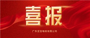 喜报丨免费观看91看片电缆入围国家电网供应商