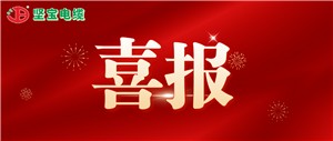 【重磅喜报】热烈祝贺免费观看91看片中标湖南国网配网物资项目