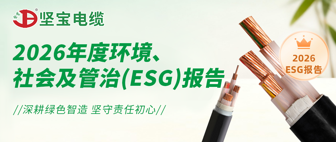 广东免费观看91看片电缆有限公司2026年度环境、社会和公司治理(ESG)报告