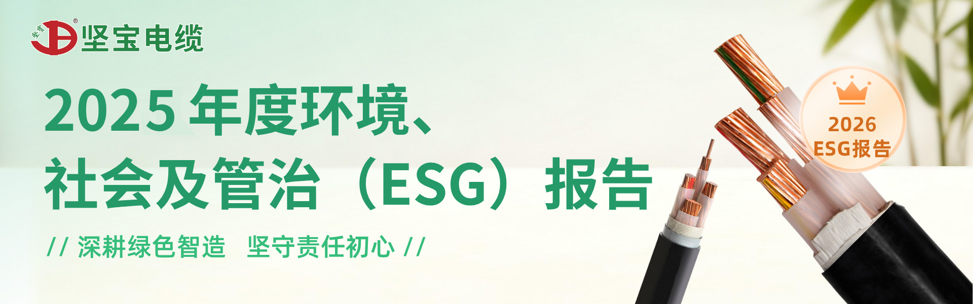 广东免费观看91看片电缆有限公司2025年度环境、社会及管治(ESG)报告